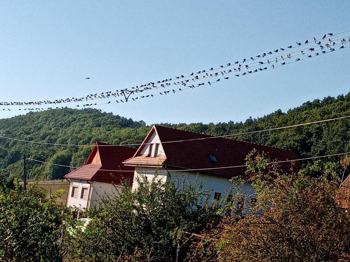 Kaláris Vendégház Hollókő Esterno foto